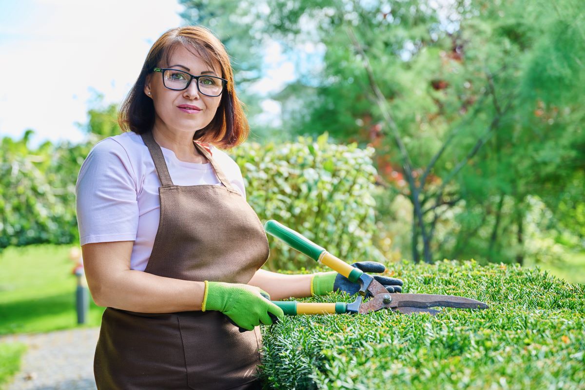 Gartenpflege durchs Jahr: Der perfekte Jahresplan
