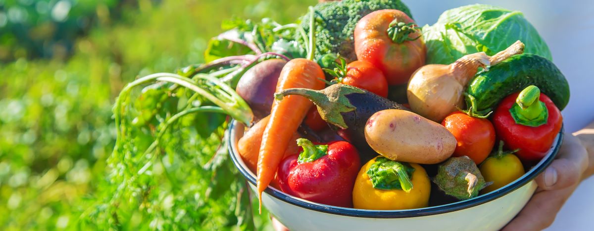 Saisonkalender Deutschland: Obst & Gemüse nach Saison